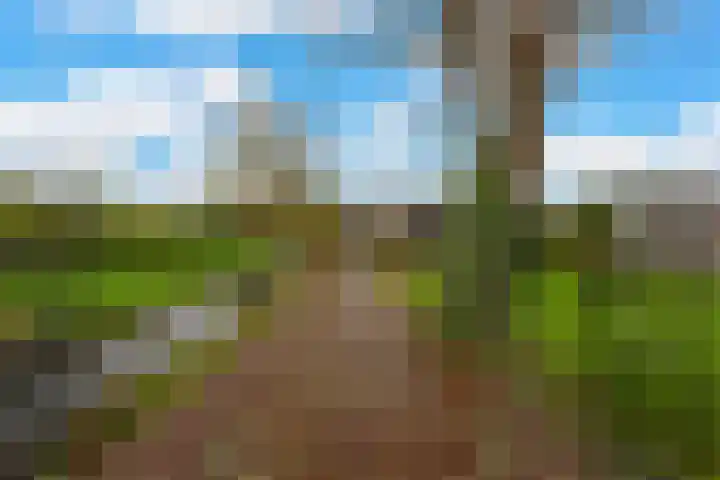 Tiendweg-West 23 Lekkerkerk thumbnail 42