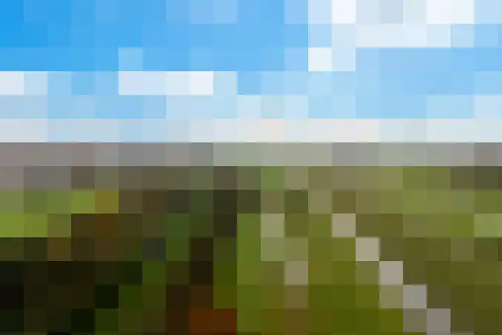 Tiendweg-West 23 Lekkerkerk thumbnail 44