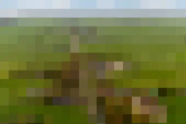 Tiendweg-West 23 Lekkerkerk thumbnail 45