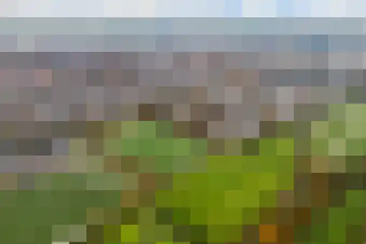Tiendweg-West 23 Lekkerkerk thumbnail 46