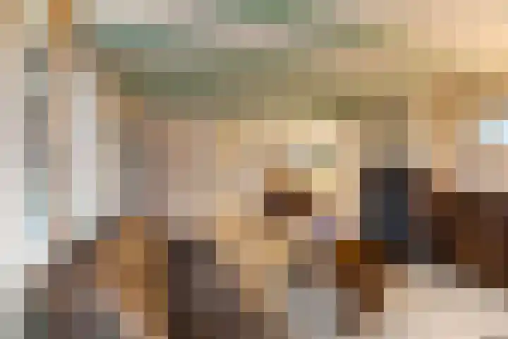 Tiendweg-West 23 Lekkerkerk thumbnail 8