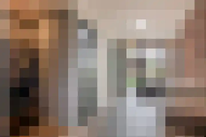 Tiendweg-West 32 Lekkerkerk thumbnail 14