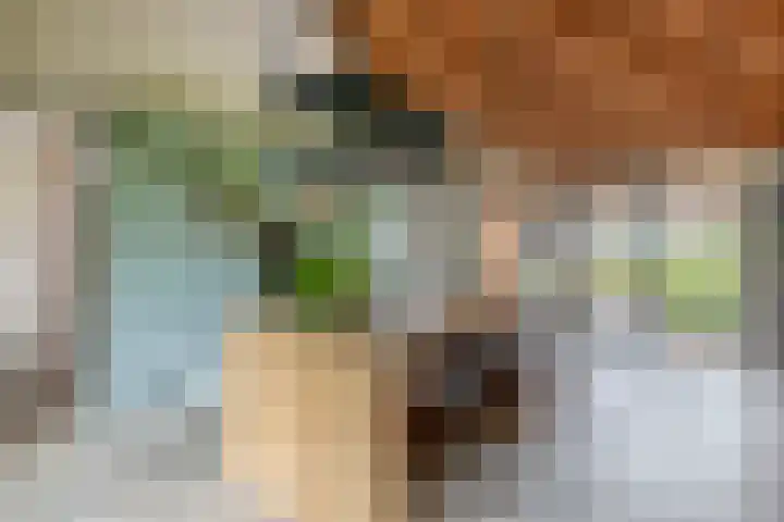 Tiendweg-West 32 Lekkerkerk thumbnail 17