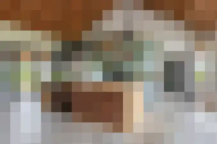 Tiendweg-West 32 Lekkerkerk thumbnail 19