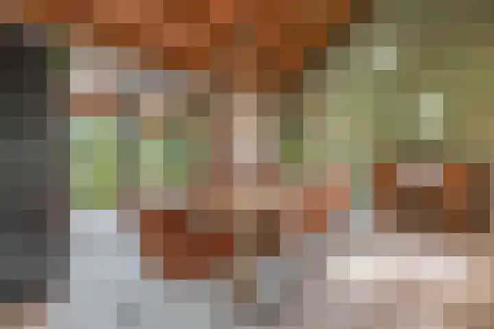 Tiendweg-West 32 Lekkerkerk thumbnail 29
