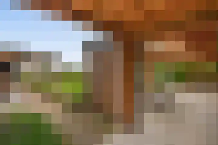 Tiendweg-West 32 Lekkerkerk thumbnail 31