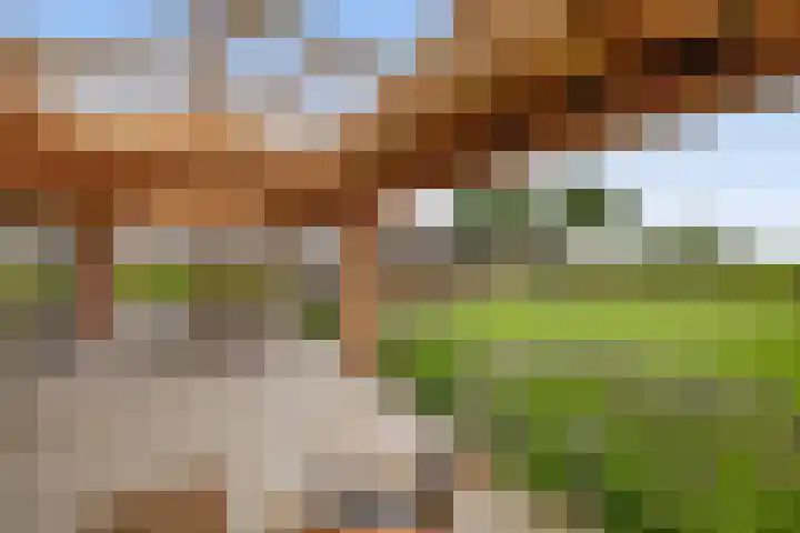 Tiendweg-West 32 Lekkerkerk thumbnail 32