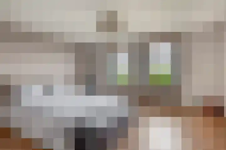 Tiendweg-West 32 Lekkerkerk thumbnail 33