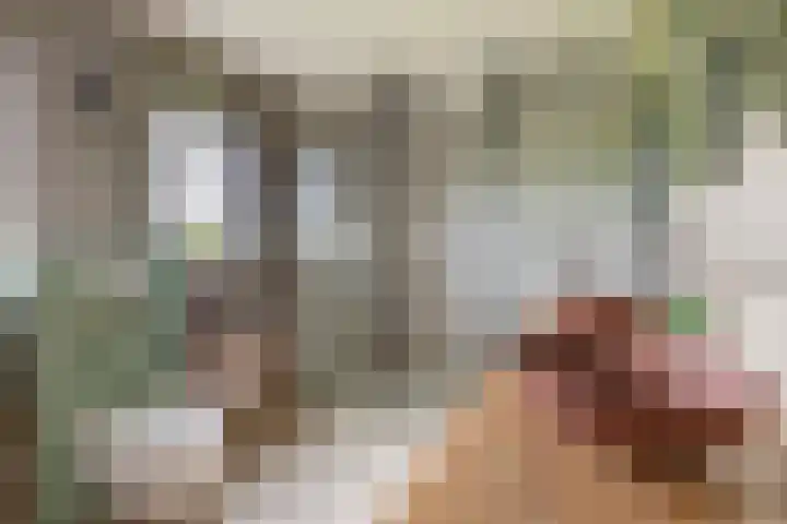 Tiendweg-West 32 Lekkerkerk thumbnail 4