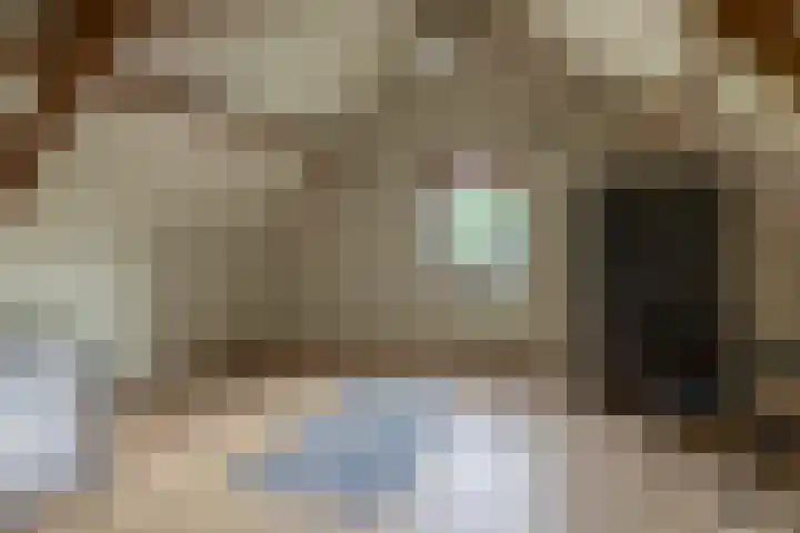 Tiendweg-West 32 Lekkerkerk thumbnail 44