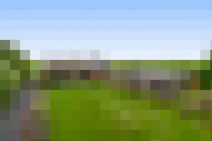 Tiendweg-West 32 Lekkerkerk thumbnail 5