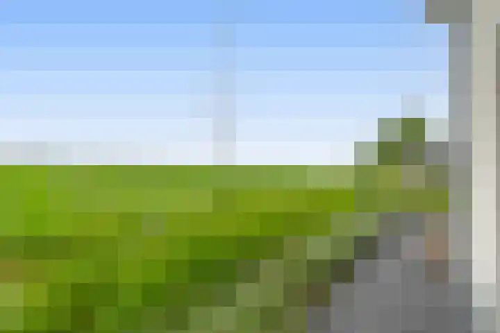 Tiendweg-West 32 Lekkerkerk thumbnail 50