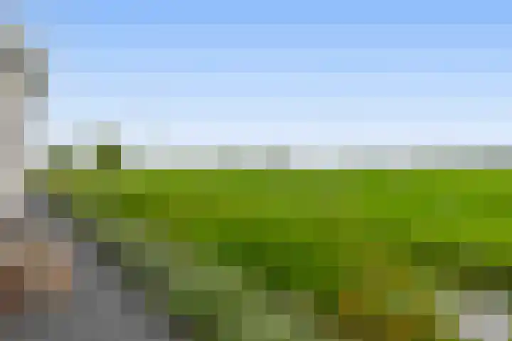 Tiendweg-West 32 Lekkerkerk thumbnail 51