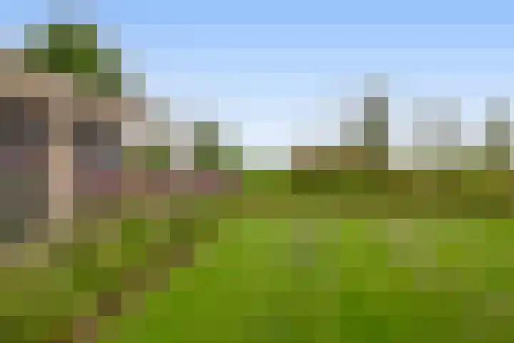 Tiendweg-West 32 Lekkerkerk thumbnail 52