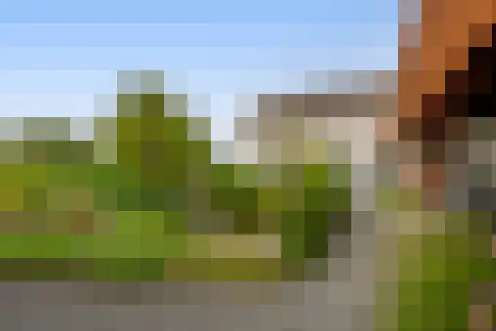 Tiendweg-West 32 Lekkerkerk thumbnail 53