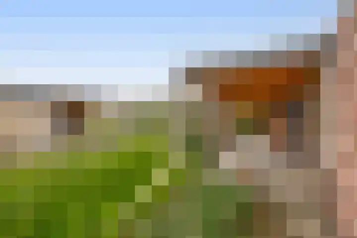 Tiendweg-West 32 Lekkerkerk thumbnail 55