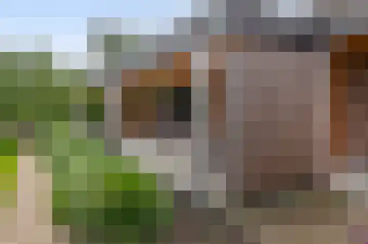 Tiendweg-West 32 Lekkerkerk thumbnail 56