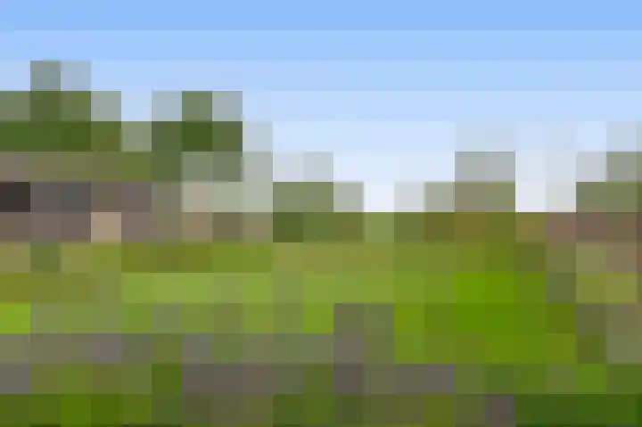 Tiendweg-West 32 Lekkerkerk thumbnail 57