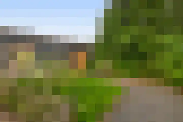 Tiendweg-West 32 Lekkerkerk thumbnail 58