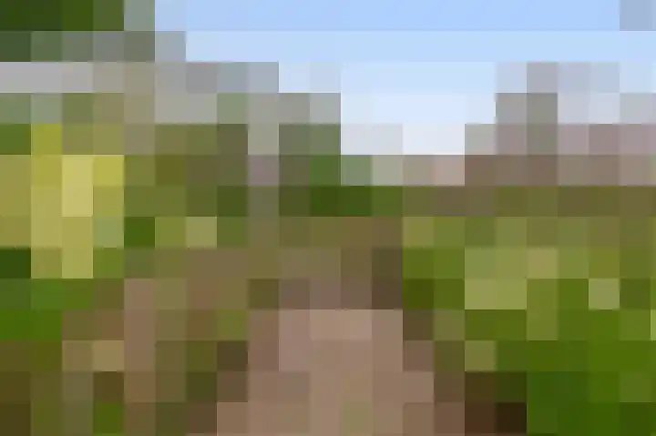 Tiendweg-West 32 Lekkerkerk thumbnail 59