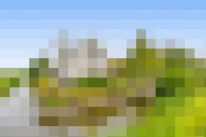 Tiendweg-West 32 Lekkerkerk thumbnail 6
