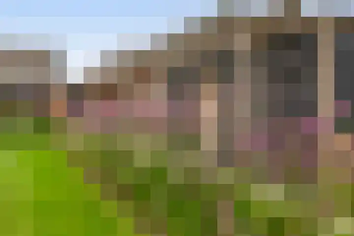 Tiendweg-West 32 Lekkerkerk thumbnail 63