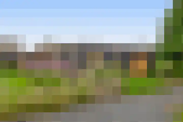 Tiendweg-West 32 Lekkerkerk thumbnail 64