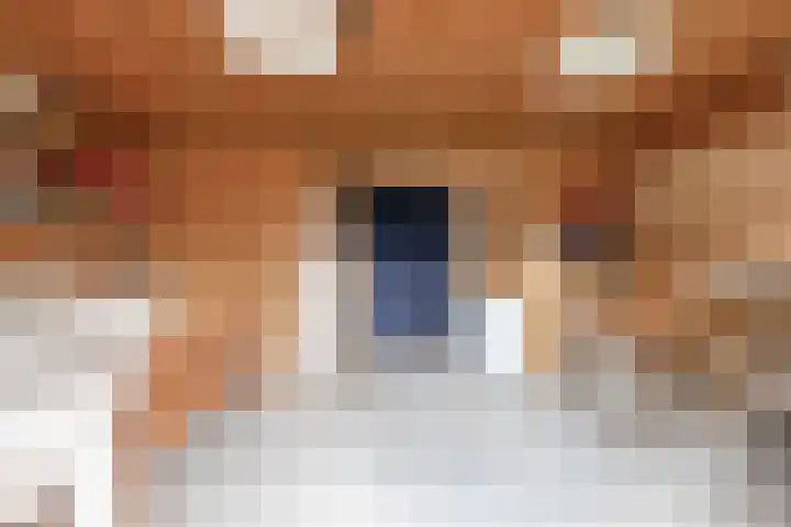 Tiendweg-West 32 Lekkerkerk thumbnail 67