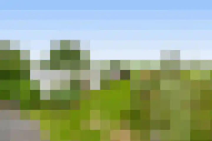 Tiendweg-West 32 Lekkerkerk thumbnail 68