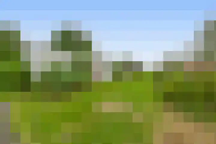 Tiendweg-West 32 Lekkerkerk thumbnail 74