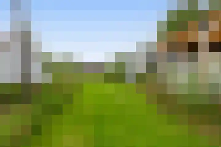 Tiendweg-West 32 Lekkerkerk thumbnail 75