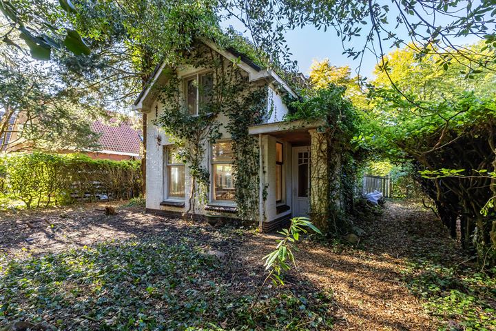 Tienelsweg 14 in Zuidlaren foto