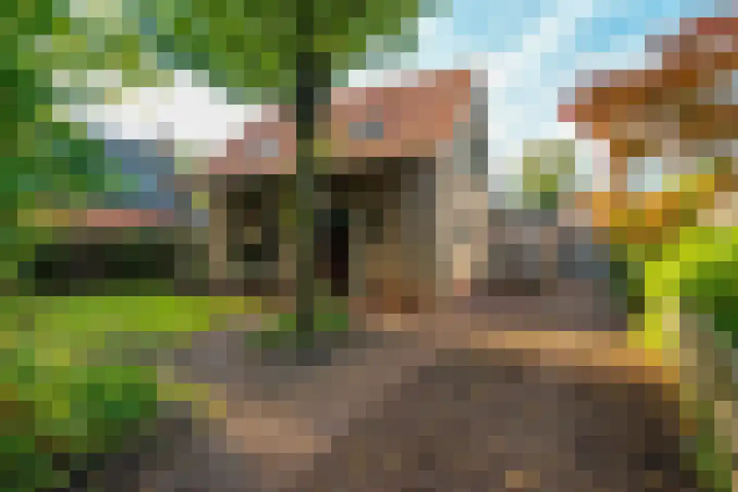 Tienelsweg 26 A Zuidlaren thumbnail 10