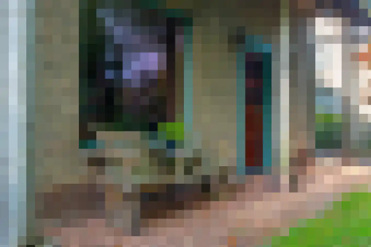 Tienelsweg 26 A Zuidlaren thumbnail 12