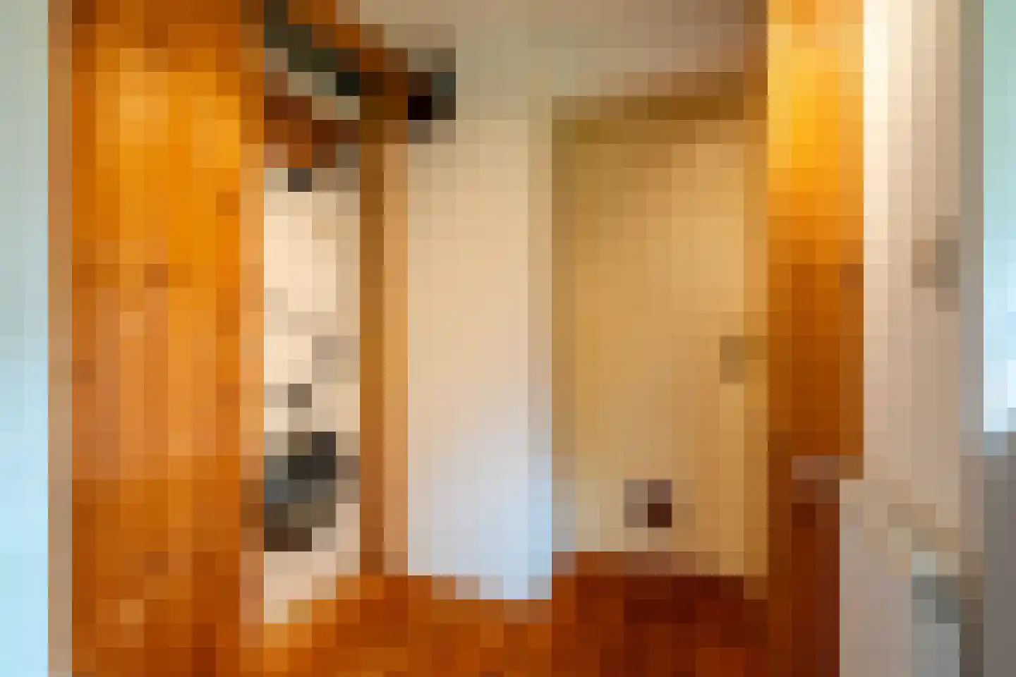Tienelsweg 26 A Zuidlaren thumbnail 26