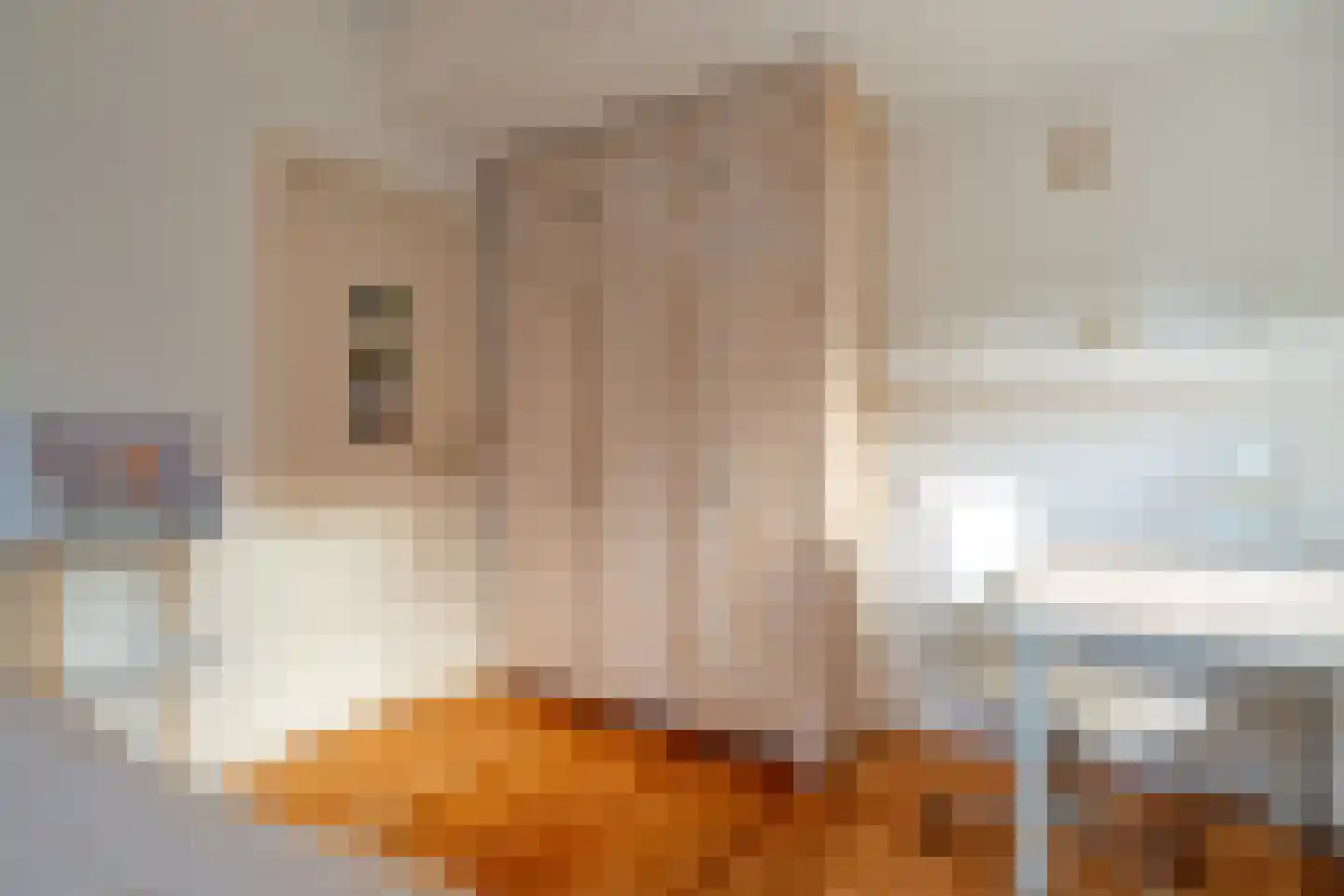 Tienelsweg 26 A Zuidlaren thumbnail 38
