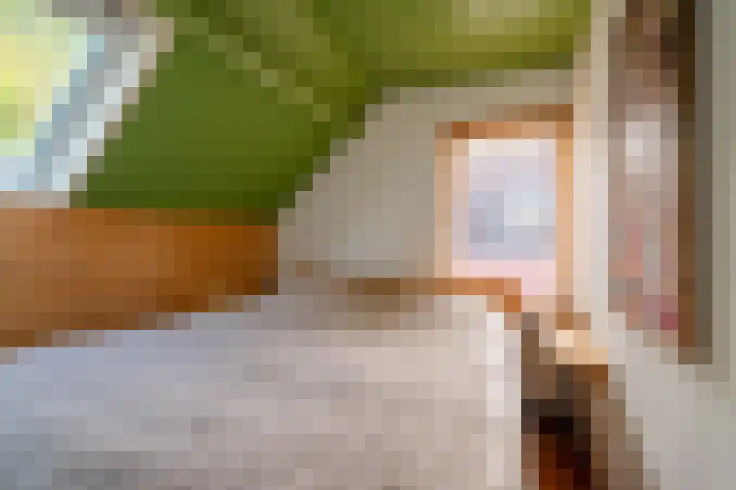 Tienelsweg 26 A Zuidlaren thumbnail 39