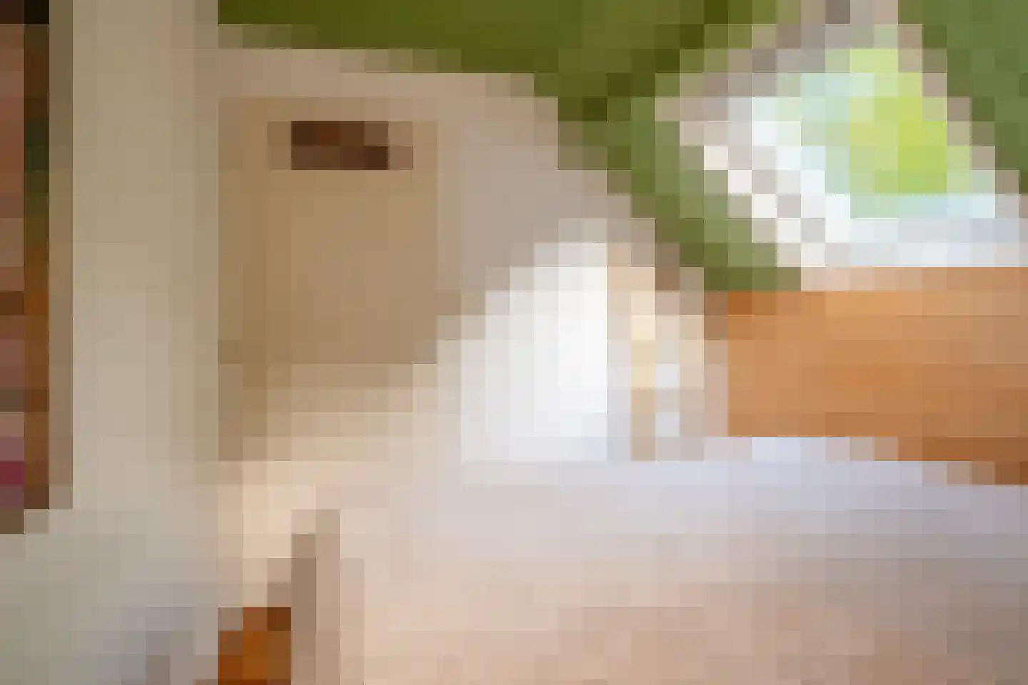Tienelsweg 26 A Zuidlaren thumbnail 40