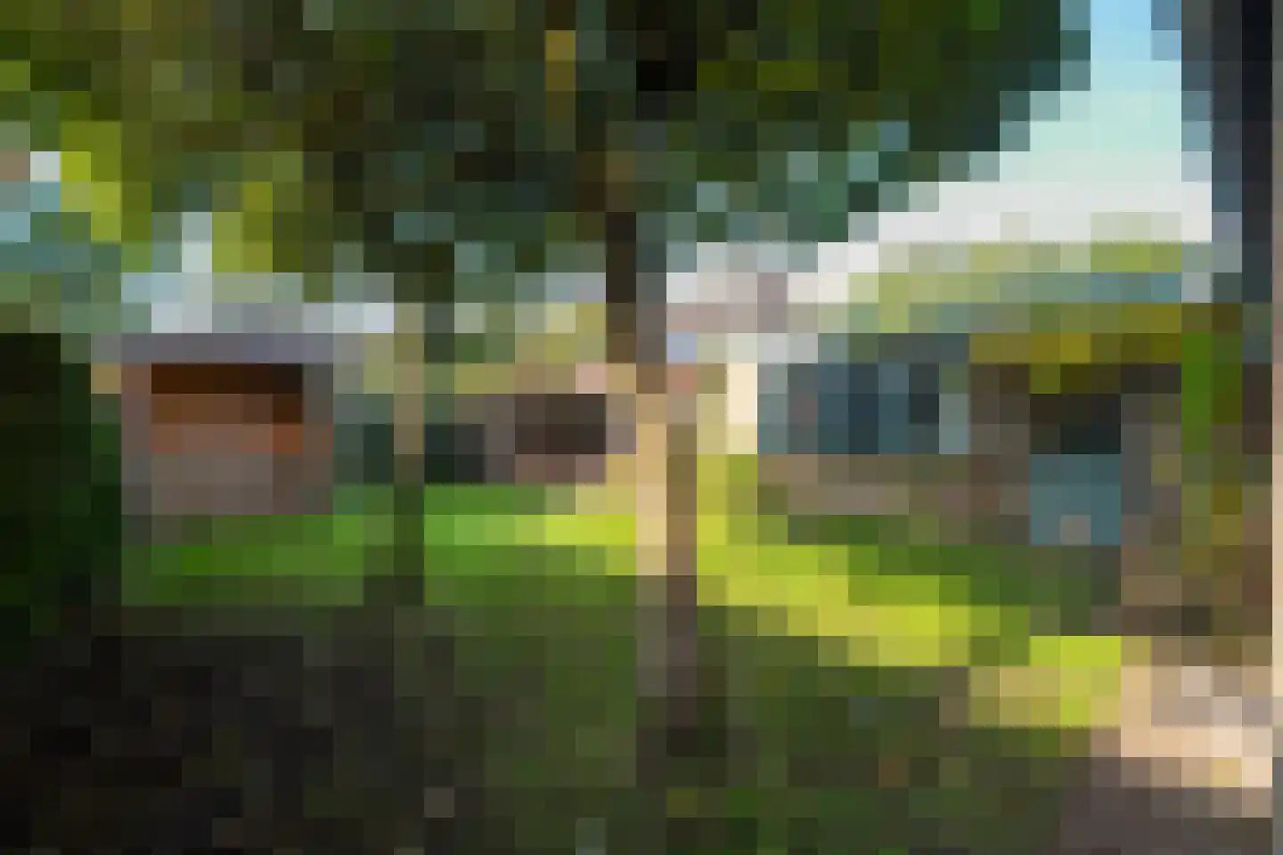 Tienelsweg 26 A Zuidlaren thumbnail 58