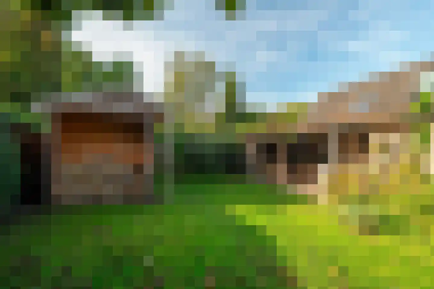 Tienelsweg 26 A Zuidlaren thumbnail 59