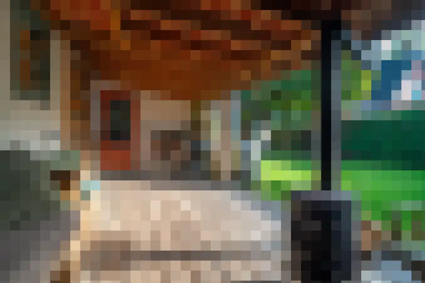 Tienelsweg 26 A Zuidlaren thumbnail 64