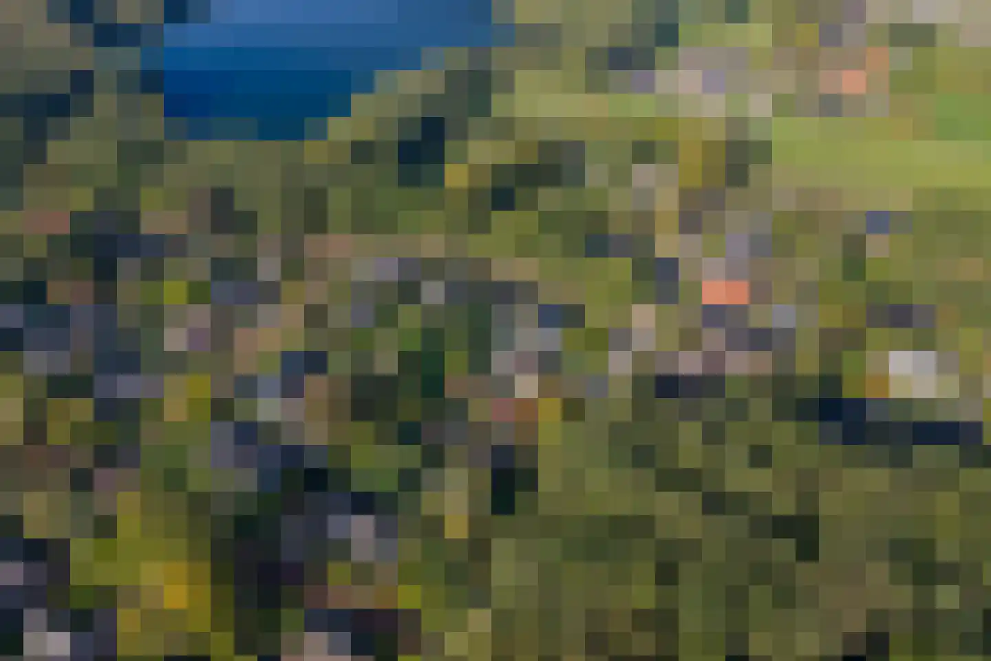 Tienelsweg 26 A Zuidlaren thumbnail 7