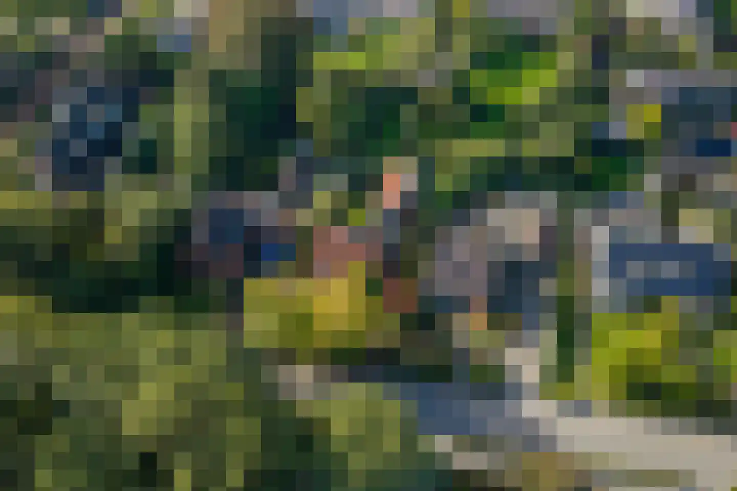 Tienelsweg 26 A Zuidlaren thumbnail 81