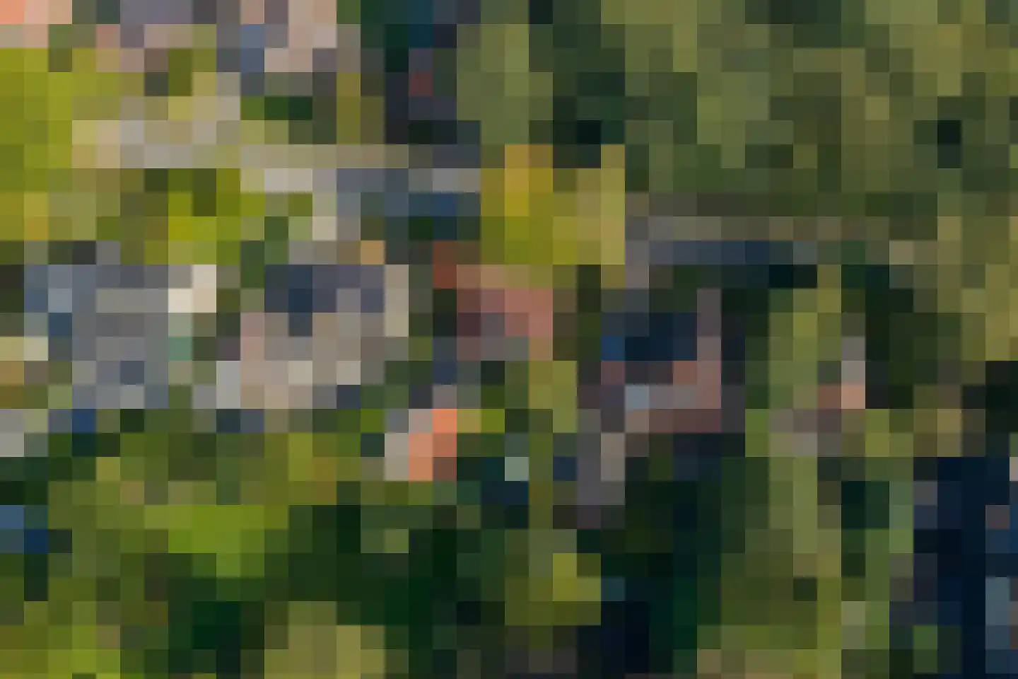 Tienelsweg 26 A Zuidlaren thumbnail 82