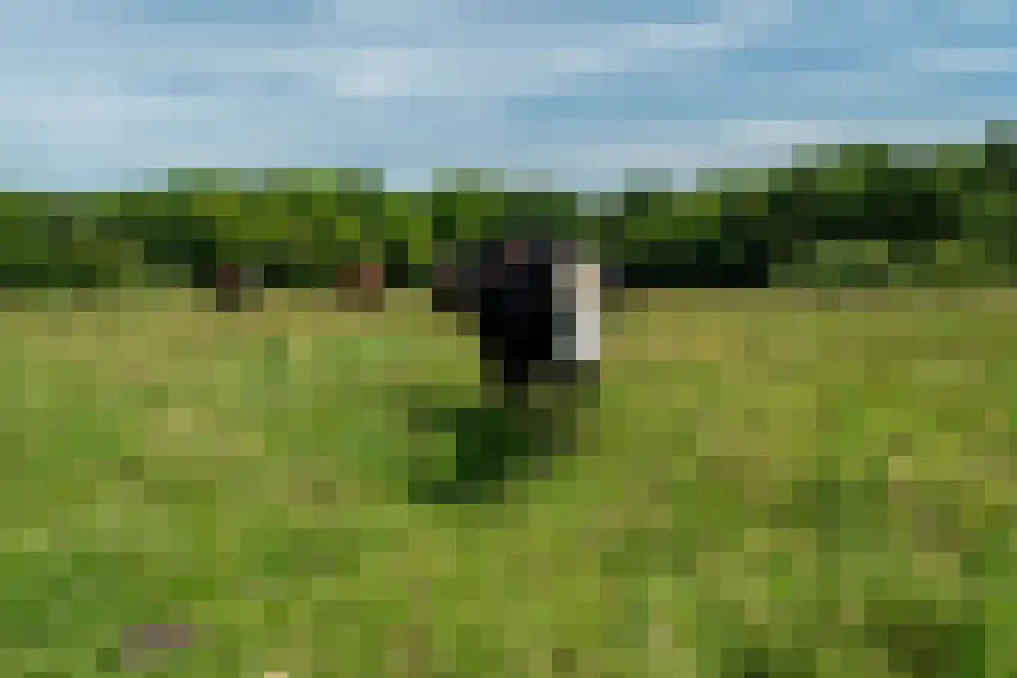 Tienelsweg 26 A Zuidlaren thumbnail 89