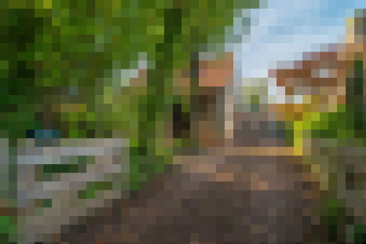 Tienelsweg 26 A Zuidlaren thumbnail 9
