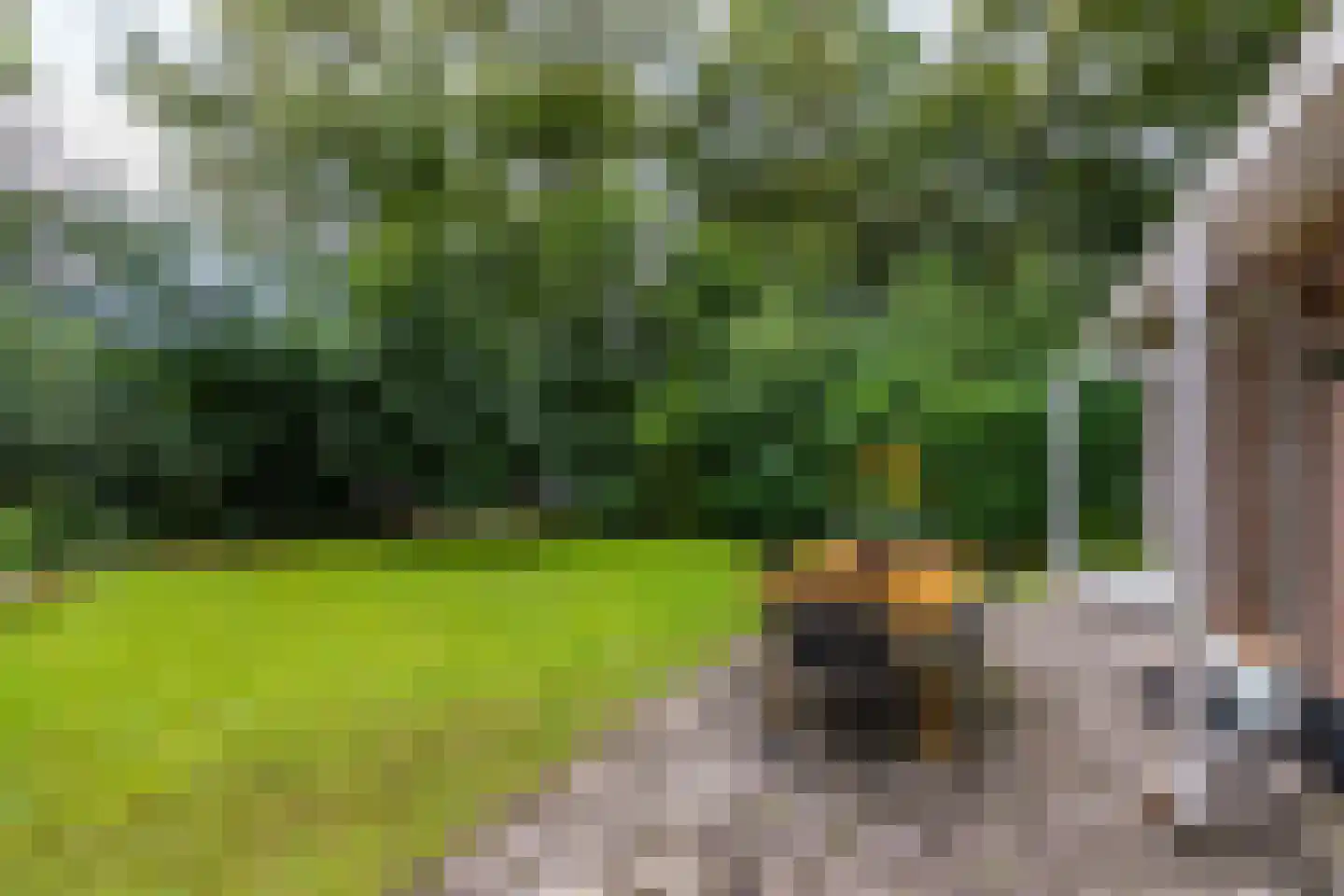 Tienelsweg 33 B 220 Zuidlaren thumbnail 10