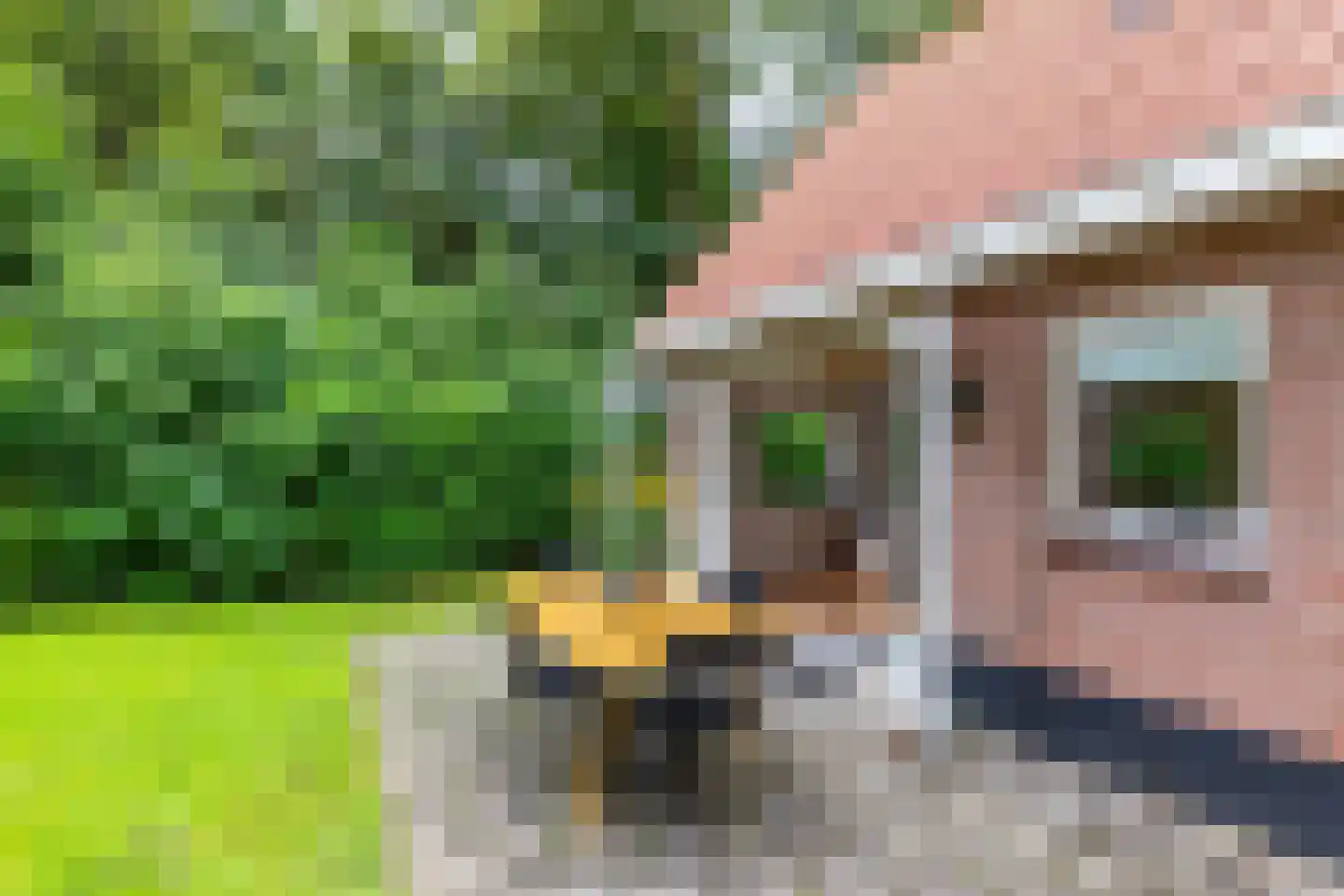 Tienelsweg 33 B 220 Zuidlaren thumbnail 11
