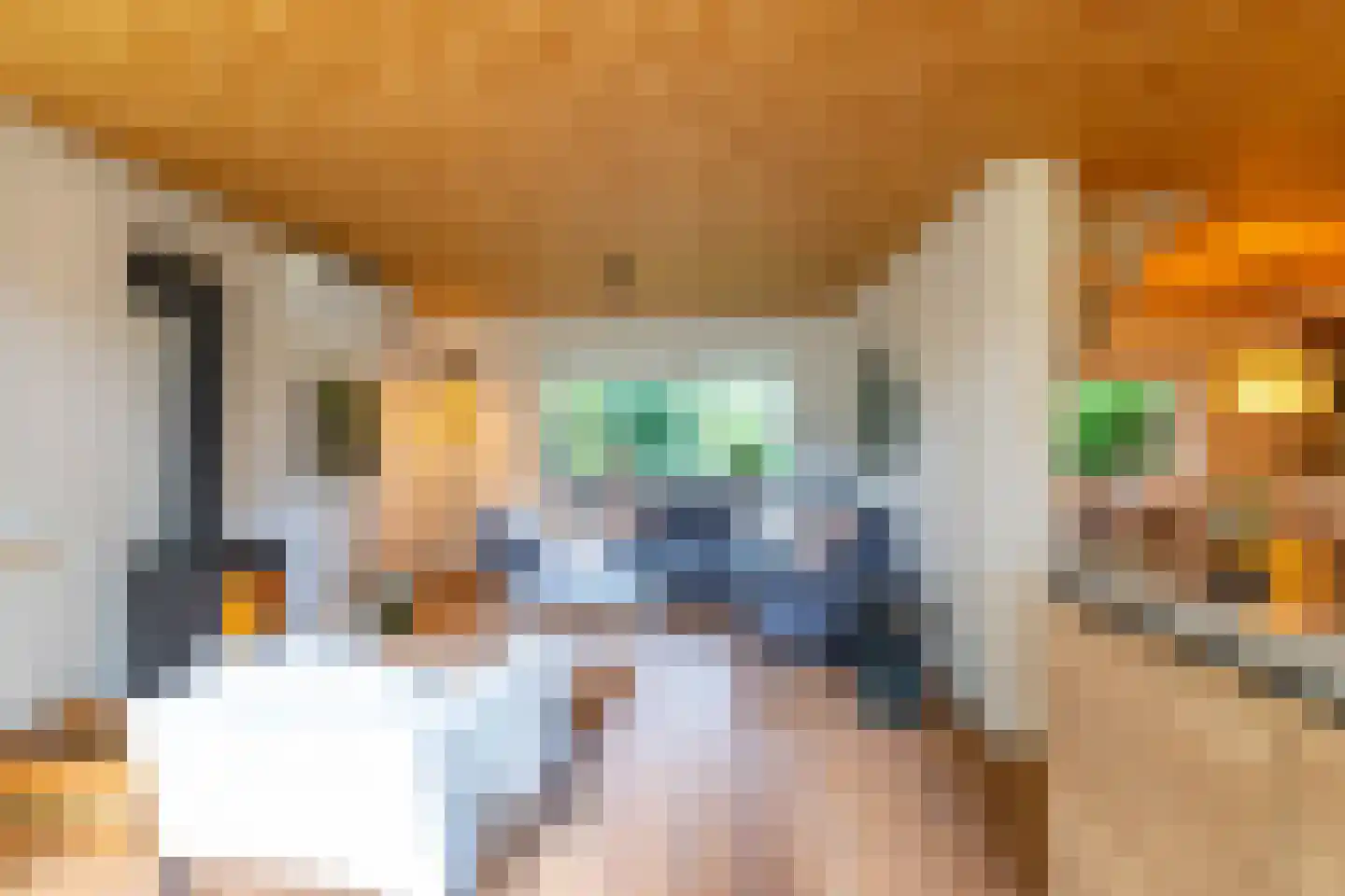 Tienelsweg 33 B 220 Zuidlaren thumbnail 12