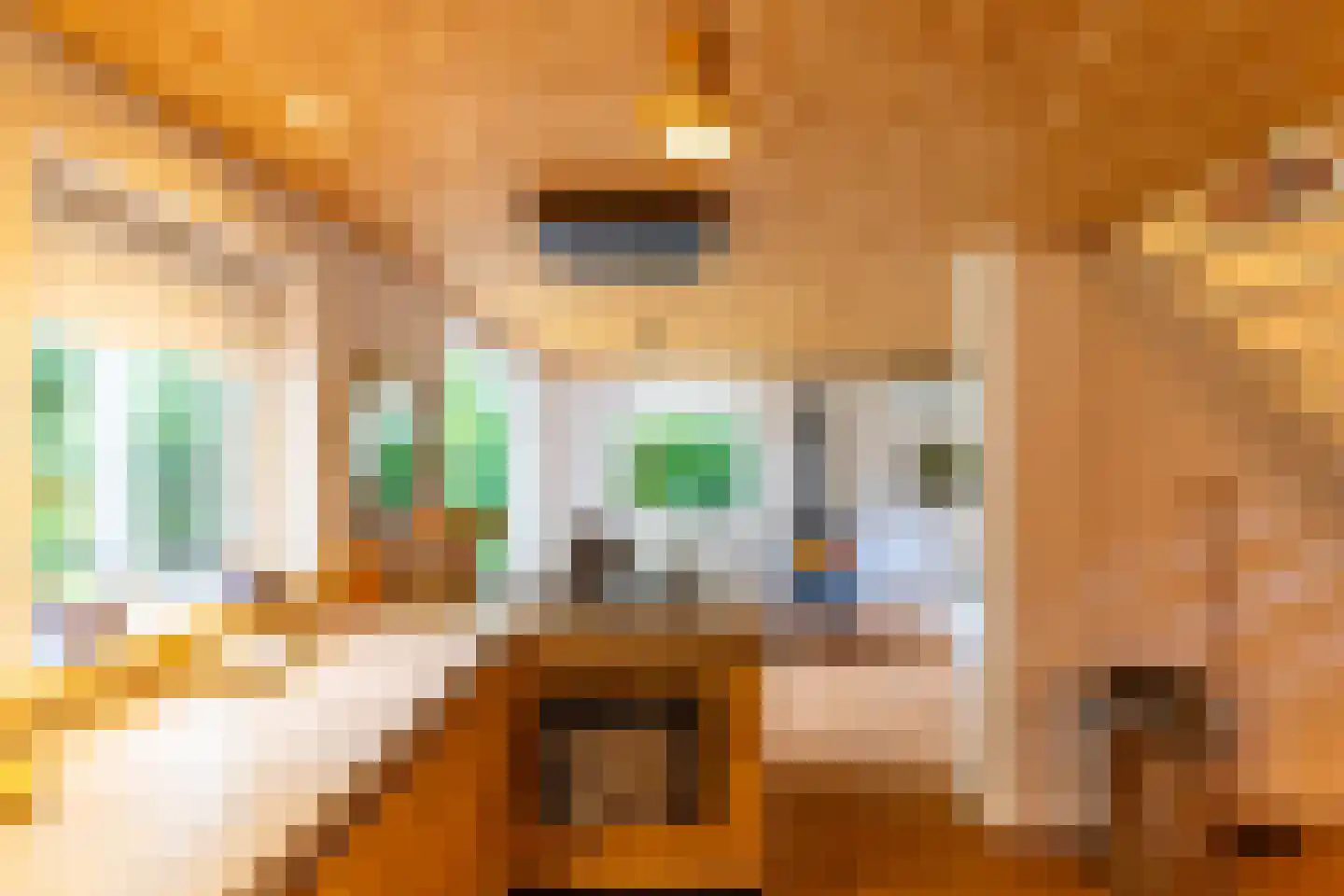 Tienelsweg 33 B 220 Zuidlaren thumbnail 17